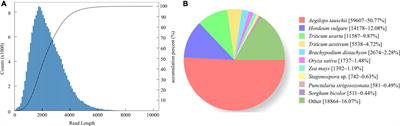 Full-length transcriptome sequencing analysis and characterization, development and validation of microsatellite markers in Kengyilia melanthera